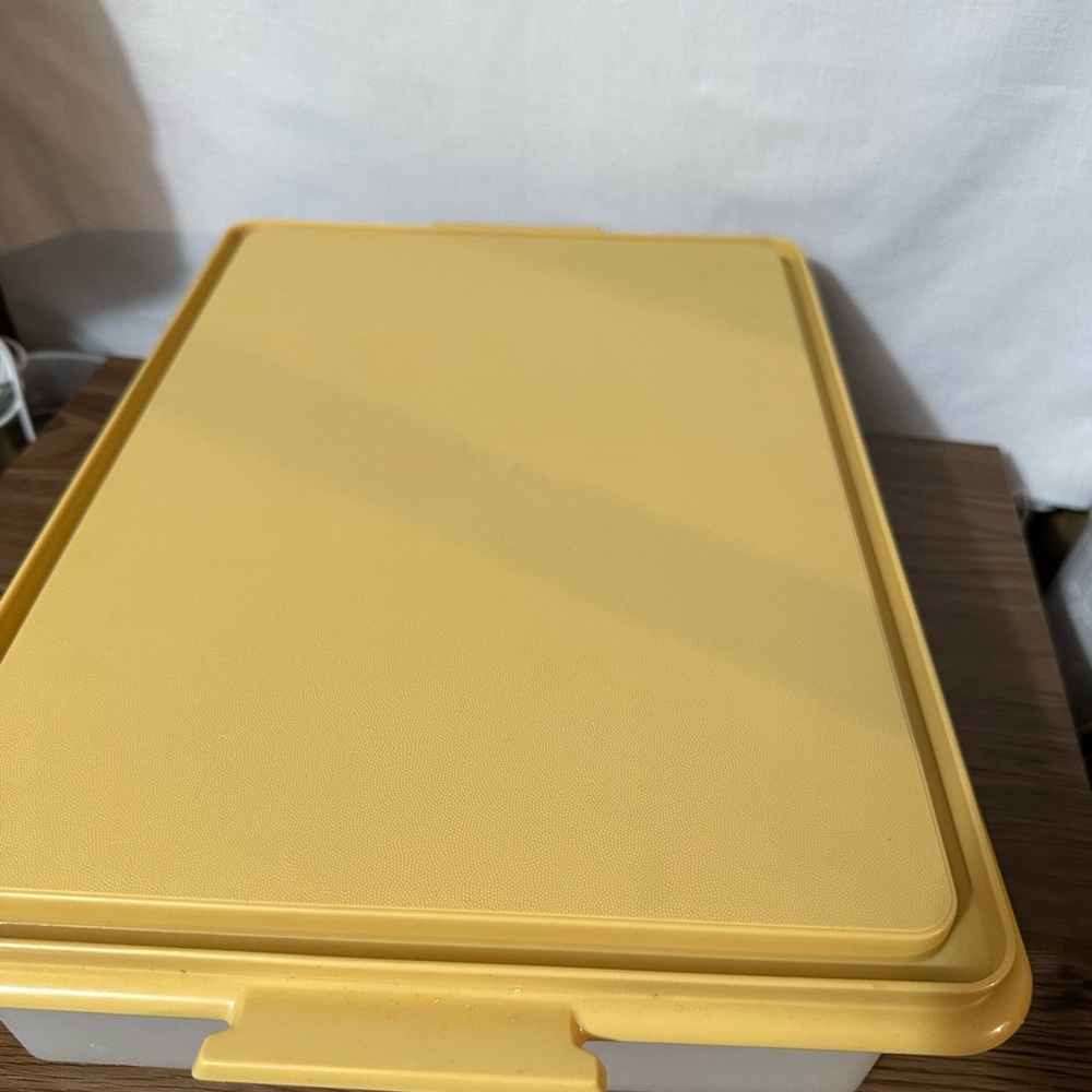 Vintage Tupperware, cupcake holder